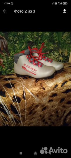 Лыжные ботинки