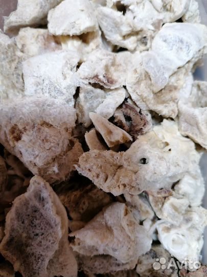 Легкое говяжье сушеное