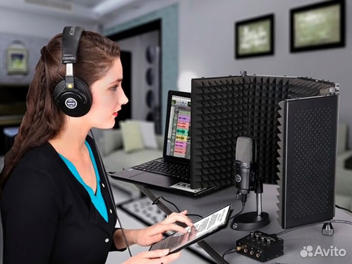 Акустический экран для микрофона 5 створок панелей