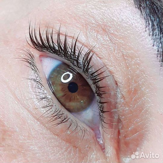 Вельвет ресниц и бровей, ламинирование