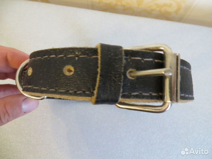 Ошейник для собак