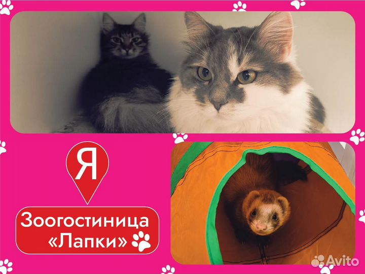 Гостиница Отель для животных