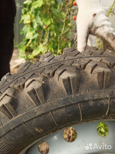 Volcano Longitude 175/80 R16