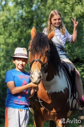 Прогулки верхом, катание детей и взрослых