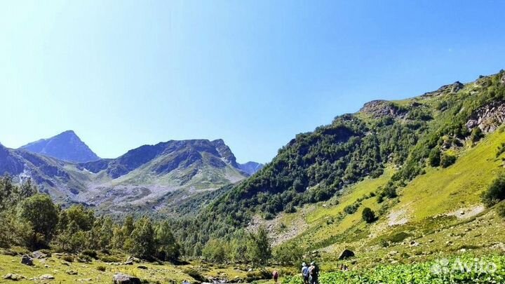 Путевка в детский лагерь с трансфером