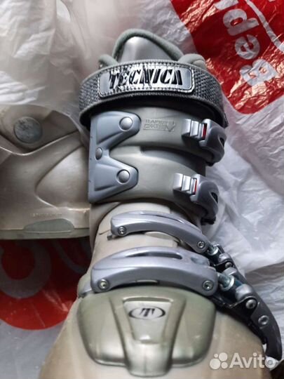 Горные лыжи