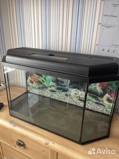 Аквариум на 100 литров с аксессуарами