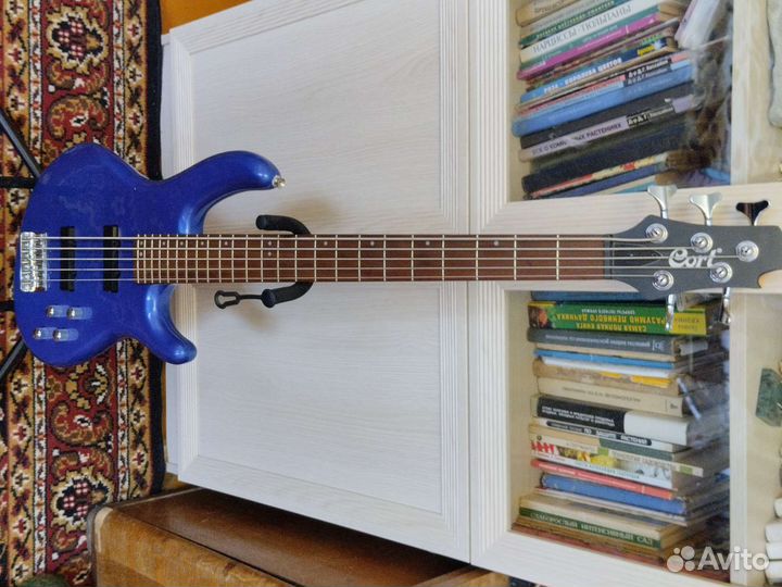 5 струнная бас гитара