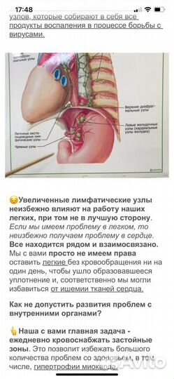 Фиалки,детки