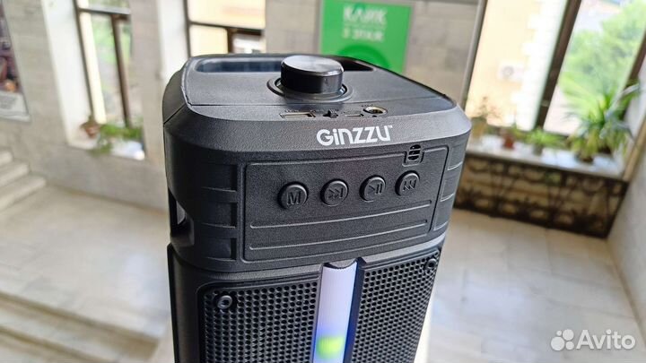 Блютуз колонка Ginzzu + караоке и радио