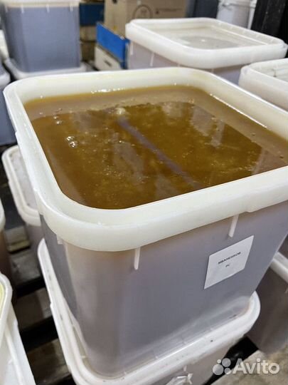 Мёд свежий оптом. Эспарцет, качка 2023г