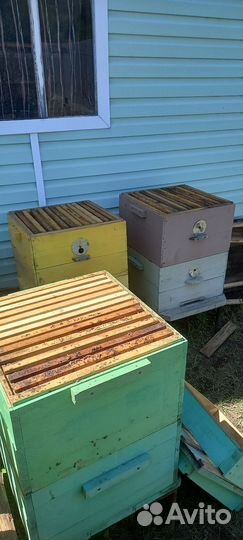 Улей для пчел дадан
