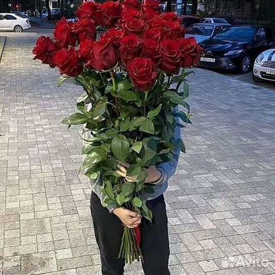 Розы Букеты Цветы Розы 31 101 151 201 Доставка