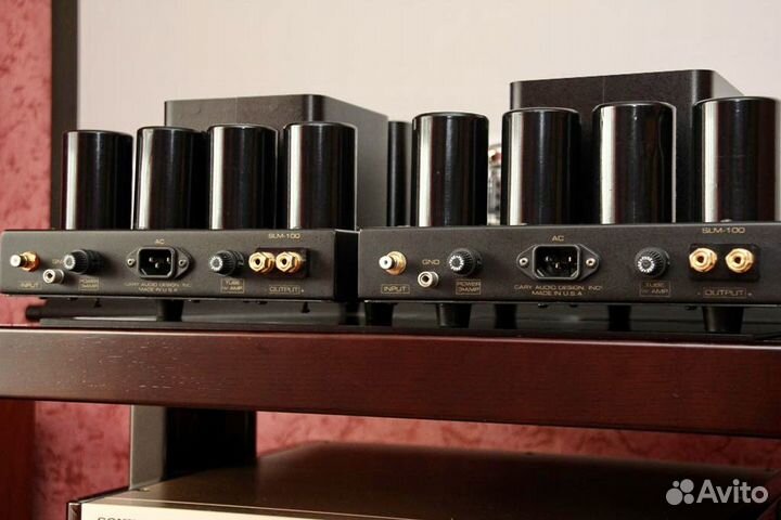 Моноблоки Cary SLM-100 USA