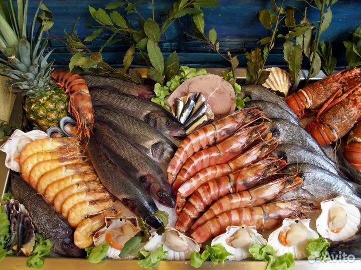 Прибыльный готовый бизнес – магазин рыбы