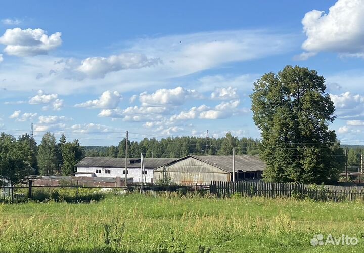 Фермерское овцеводческое хозяйство