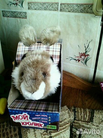 Мой кролик