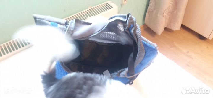 Сумка слинг для собак