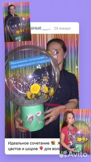 Живые Цветы в шаре (композиция )