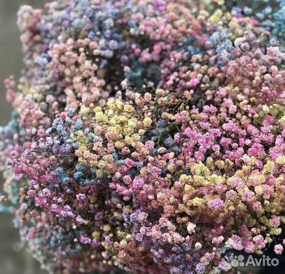 Букет из гипсофилы