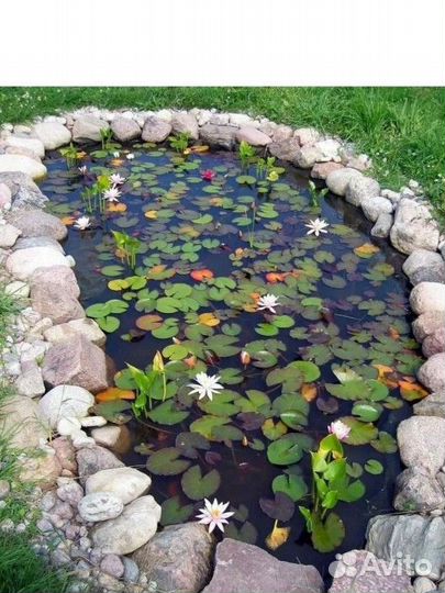 Пленка для пруда новая