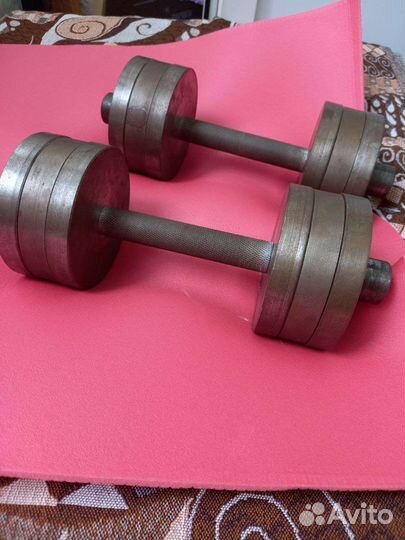Гантели разборные 22 кг