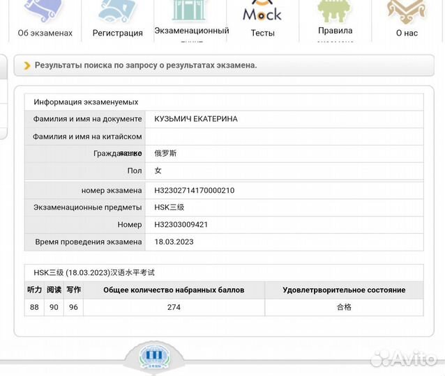 Китайский язык