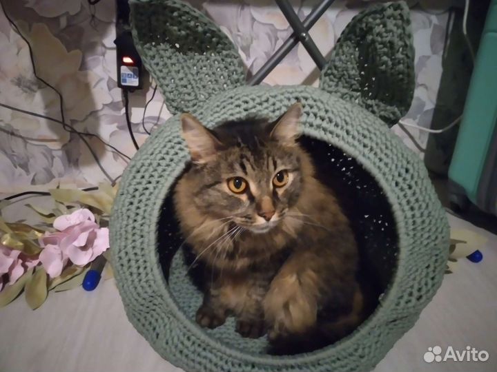 Домики для кошек