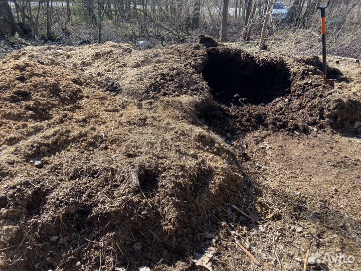 Конский навоз