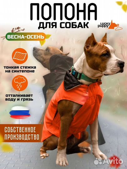 Попона для собак,куртка, комбинезон новая