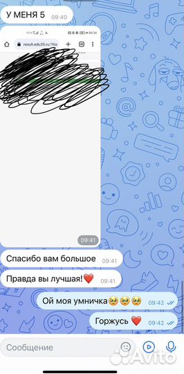 Репетитор по обществознанию огэ/егэ/впр