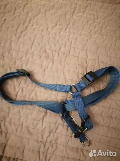 Шлейка для собаки и стойка для кошек