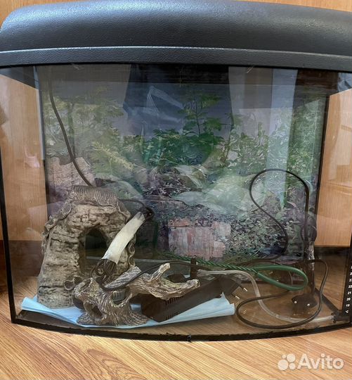 Аквариум на 30 литров
