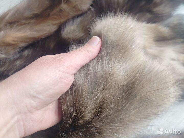 Шкурки соболя