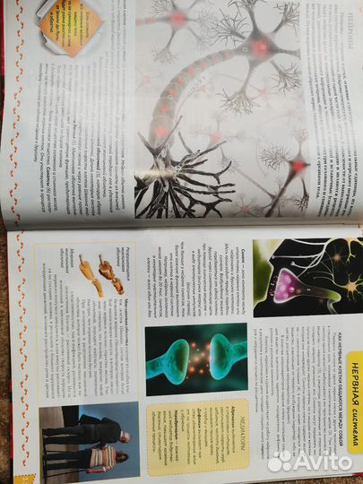 Энциклопедия