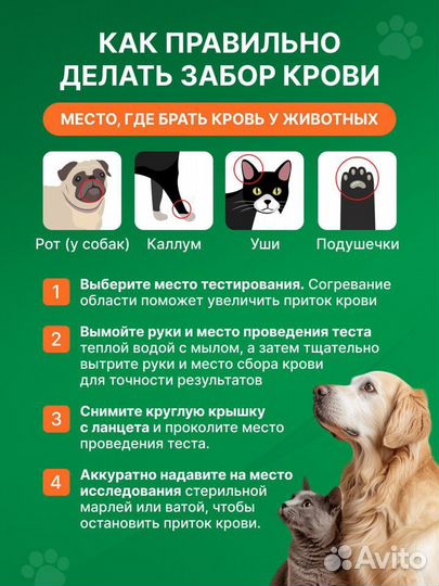 Глюкометр для животных PET