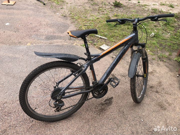 Велосипед forward quadro