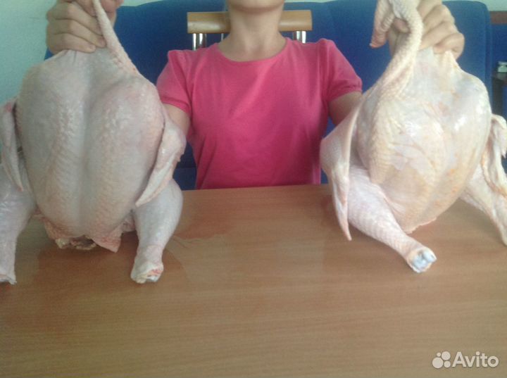 Индюшата подрощенные,Цыплята бройлера росс-308