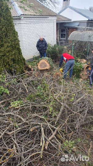 Спил деревьев,снос домов,расчистка участков