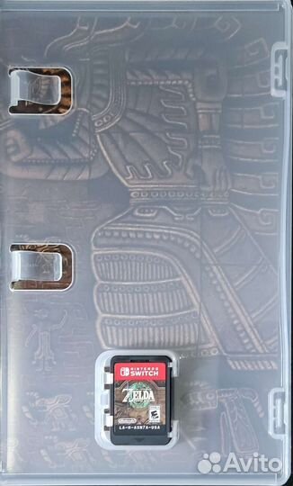 The Legend of Zelda Tears of The Kingdom