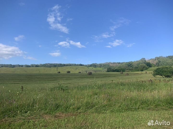 Сено в рулонах