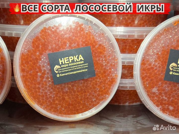 Красная икра Кижуч. Оптом