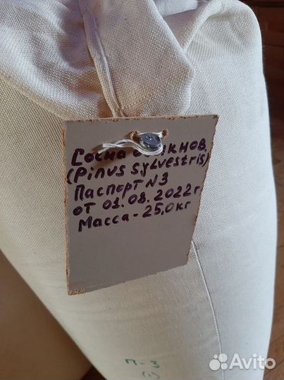 Семена ели обыкновенной