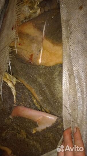 Рубец корм для собак