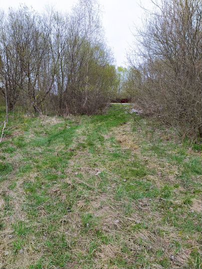 Участок 30 сот. (ИЖС)