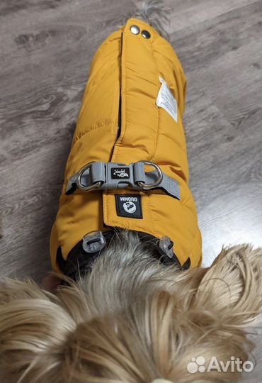 Новая Одежда комбинезон для собак