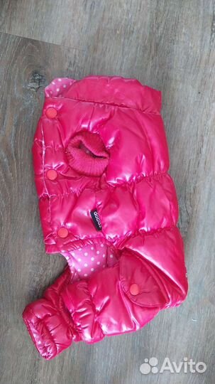 Одежда для маленьких собак