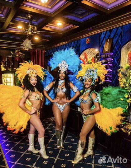 Бразильское шоу Mulata rica show