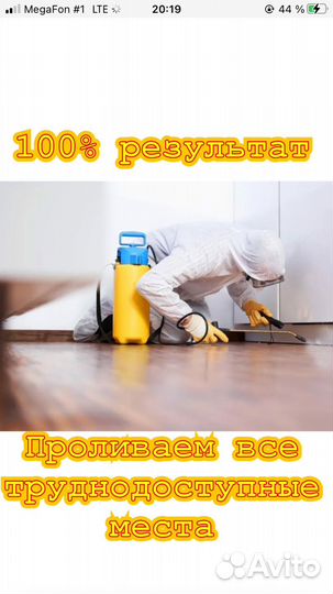 Уничтожение клопов обработка тараканов дезинсекция