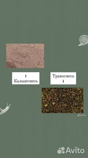 Кальцесмесь, травосмесь, подкорке для улиток